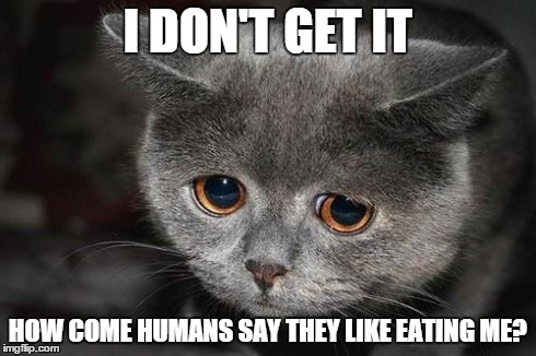 Humans eat WHAT?! | I DON'T GET IT HOW COME HUMANS SAY THEY LIKE EATING ME? | image tagged in sad cat,memes,funny,cats,pussy,cute | made w/ Imgflip meme maker