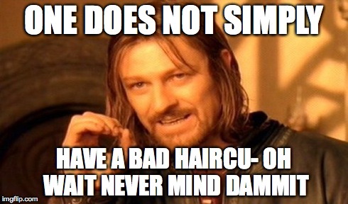 One Does Not Simply Meme | ONE DOES NOT SIMPLY HAVE A BAD HAIRCU- OH WAIT NEVER MIND DAMMIT | image tagged in memes,one does not simply | made w/ Imgflip meme maker