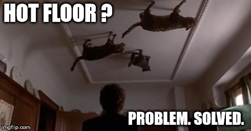 hot floor? | HOT FLOOR ? PROBLEM. SOLVED. | image tagged in ceiling cats,hot floor,cat,cats,problem solved,meme | made w/ Imgflip meme maker