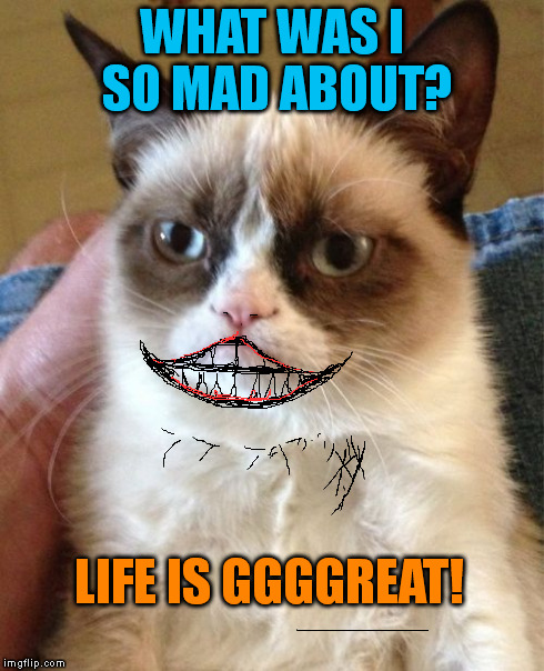 Grumpy Cat Has Sex For The First Time. | WHAT WAS I SO MAD ABOUT? LIFE IS GGGGREAT! | image tagged in memes,sex,v for vendetta,grumpy cat | made w/ Imgflip meme maker