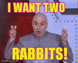 His New Evil Plot. I Wonder What It Is. | I WANT TWO RABBITS! | image tagged in memes,dr evil laser | made w/ Imgflip meme maker