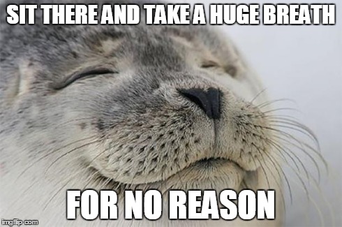 Satisfied Seal Meme | SIT THERE AND TAKE A HUGE BREATH FOR NO REASON | image tagged in memes,satisfied seal | made w/ Imgflip meme maker