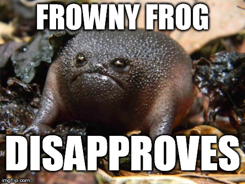 frowny frog disapproves | FROWNY FROG DISAPPROVES | image tagged in frowny frog,disapproval,inappropriate | made w/ Imgflip meme maker