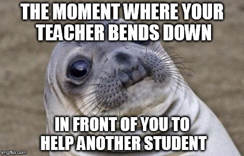 Awkward Moment Sealion Meme | THE MOMENT WHERE YOUR TEACHER BENDS DOWN IN FRONT OF YOU TO HELP ANOTHER STUDENT | image tagged in memes,awkward moment sealion | made w/ Imgflip meme maker
