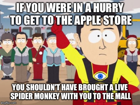 Captain Hindsight | IF YOU WERE IN A HURRY TO GET TO THE APPLE STORE YOU SHOULDN'T HAVE BROUGHT A LIVE SPIDER MONKEY WITH YOU TO THE MALL | image tagged in memes,captain hindsight,AdviceAnimals | made w/ Imgflip meme maker