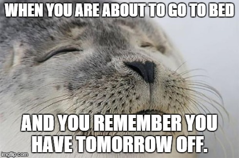 Satisfied Seal | WHEN YOU ARE ABOUT TO GO TO BED AND YOU REMEMBER YOU HAVE TOMORROW OFF. | image tagged in memes,satisfied seal | made w/ Imgflip meme maker