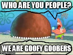 WHO ARE YOU PEOPLE? | WHO ARE YOU PEOPLE? WE ARE GOOFY GOOBERS | image tagged in who are you people | made w/ Imgflip meme maker