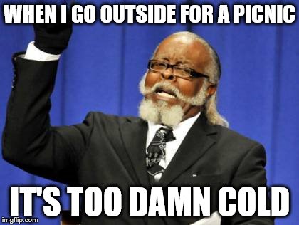 Too Damn High Meme | WHEN I GO OUTSIDE FOR A PICNIC IT'S TOO DAMN COLD | image tagged in memes,too damn high | made w/ Imgflip meme maker