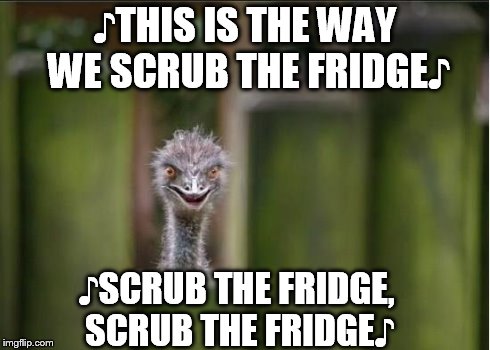 autruche watch | ♪THIS IS THE WAY WE SCRUB THE FRIDGE♪ ♪SCRUB THE FRIDGE, SCRUB THE FRIDGE♪ | image tagged in autruche watch | made w/ Imgflip meme maker