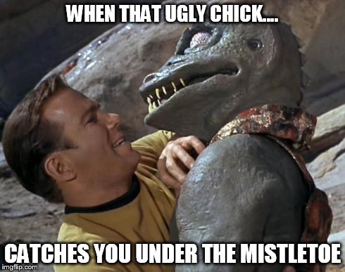WHEN THAT UGLY CHICK.... CATCHES YOU UNDER THE MISTLETOE | image tagged in kirk will kiss anything,kirk,kiss | made w/ Imgflip meme maker