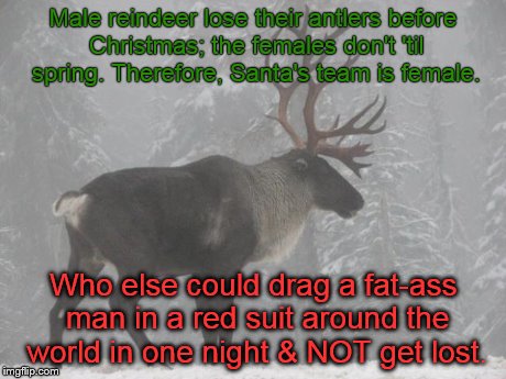 Male reindeer lose their antlers before Christmas; the females don't 'til spring. Therefore, Santa's team is female. Who else could drag a f | image tagged in caribou santa | made w/ Imgflip meme maker