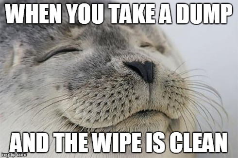 Satisfied Seal | WHEN YOU TAKE A DUMP AND THE WIPE IS CLEAN | image tagged in memes,satisfied seal | made w/ Imgflip meme maker