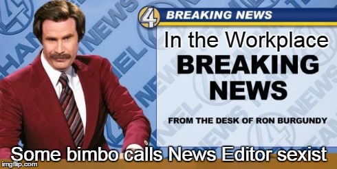 Workplace Woes | In the Workplace Some bimbo calls News Editor sexist | image tagged in breaking news,memes,ron burgundy,funny | made w/ Imgflip meme maker