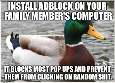 Actual Advice Mallard | INSTALL ADBLOCK ON YOUR FAMILY MEMBER'S COMPUTER IT BLOCKS MOST POP UPS AND PREVENT THEM FROM CLICKING ON RANDOM SHIT. | image tagged in memes,actual advice mallard | made w/ Imgflip meme maker