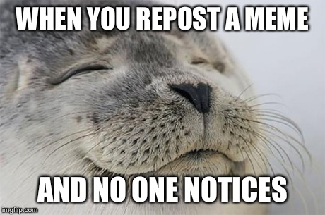 Satisfied Seal Meme | WHEN YOU REPOST A MEME AND NO ONE NOTICES | image tagged in memes,satisfied seal | made w/ Imgflip meme maker
