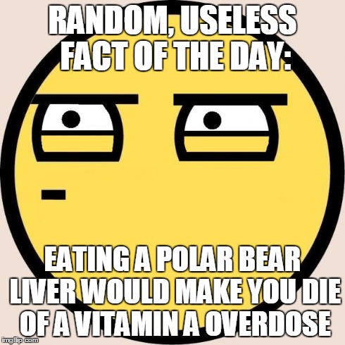 Random, Useless Fact of the Day | RANDOM, USELESS FACT OF THE DAY: EATING A POLAR BEAR LIVER WOULD MAKE YOU DIE OF A VITAMIN A OVERDOSE | image tagged in random useless fact of the day | made w/ Imgflip meme maker