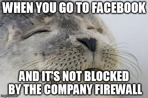 Then you realize you're dreaming | WHEN YOU GO TO FACEBOOK AND IT'S NOT BLOCKED BY THE COMPANY FIREWALL | image tagged in memes,satisfied seal | made w/ Imgflip meme maker