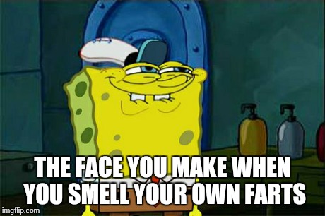 Don't You Squidward Meme | THE FACE YOU MAKE WHEN YOU SMELL YOUR OWN FARTS | image tagged in memes,dont you squidward | made w/ Imgflip meme maker