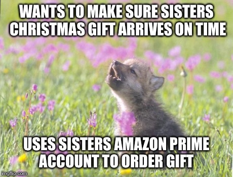 Baby Insanity Wolf Meme | WANTS TO MAKE SURE SISTERS CHRISTMAS GIFT ARRIVES ON TIME USES SISTERS AMAZON PRIME ACCOUNT TO ORDER GIFT | image tagged in memes,baby insanity wolf,AdviceAnimals | made w/ Imgflip meme maker