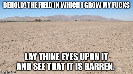 BEHOLD! THE FIELD IN WHICH I GROW MY F**KS LAY THINE EYES UPON IT AND SEE THAT IT IS BARREN. | image tagged in empty field | made w/ Imgflip meme maker