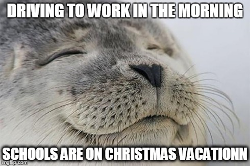 Satisfied Seal | DRIVING TO WORK IN THE MORNING SCHOOLS ARE ON CHRISTMAS VACATIONN | image tagged in memes,satisfied seal,AdviceAnimals | made w/ Imgflip meme maker
