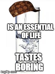 water | IS AN ESSENTIAL OF LIFE TASTES BORING | image tagged in water,scumbag | made w/ Imgflip meme maker