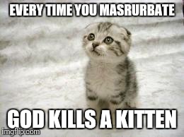 Sad Cat | EVERY TIME YOU MASRURBATE GOD KILLS A KITTEN | image tagged in memes,sad cat | made w/ Imgflip meme maker