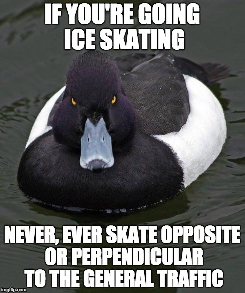 Revenge Duck. | IF YOU'RE GOING ICE SKATING NEVER, EVER SKATE OPPOSITE OR PERPENDICULAR TO THE GENERAL TRAFFIC | image tagged in revenge duck,AdviceAnimals | made w/ Imgflip meme maker