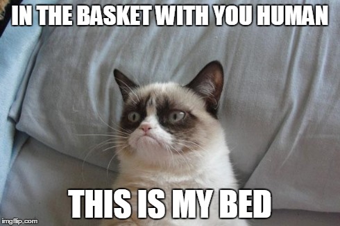 Grumpy Cat Bed | IN THE BASKET WITH YOU HUMAN THIS IS MY BED | image tagged in memes,grumpy cat bed,grumpy cat | made w/ Imgflip meme maker