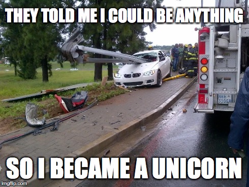 They told me I could be anything so I became a unicorn | THEY TOLD ME I COULD BE ANYTHING SO I BECAME A UNICORN | image tagged in unicorn,bmw,guardrail,anything | made w/ Imgflip meme maker