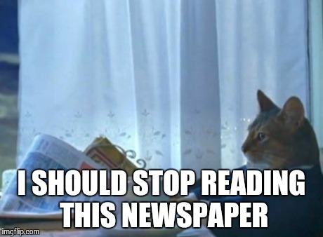I Should Buy A Boat Cat Meme | I SHOULD STOP READING THIS NEWSPAPER | image tagged in memes,i should buy a boat cat | made w/ Imgflip meme maker