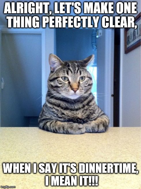 Take A Seat Cat | ALRIGHT, LET'S MAKE ONE THING PERFECTLY CLEAR, WHEN I SAY IT'S DINNERTIME, I MEAN IT!!! | image tagged in memes,take a seat cat | made w/ Imgflip meme maker