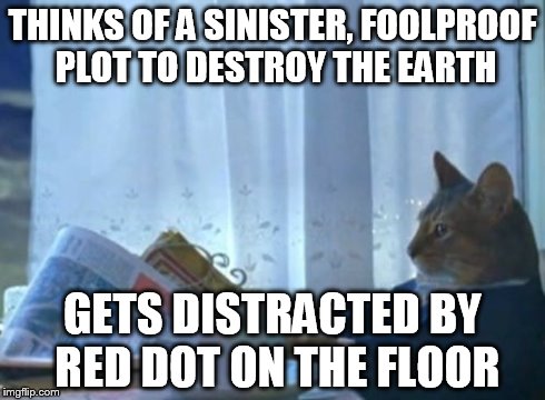 I Should Buy A Boat Cat Meme | THINKS OF A SINISTER, FOOLPROOF PLOT TO DESTROY THE EARTH GETS DISTRACTED BY RED DOT ON THE FLOOR | image tagged in memes,i should buy a boat cat | made w/ Imgflip meme maker