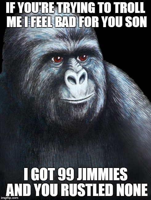 jimmies rustled | IF YOU'RE TRYING TO TROLL ME I FEEL BAD FOR YOU SON I GOT 99 JIMMIES AND YOU RUSTLED NONE | image tagged in jimmies rustled | made w/ Imgflip meme maker