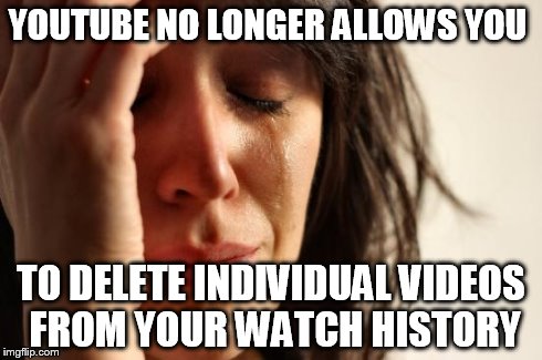 First World Problems | YOUTUBE NO LONGER ALLOWS YOU TO DELETE INDIVIDUAL VIDEOS FROM YOUR WATCH HISTORY | image tagged in memes,first world problems | made w/ Imgflip meme maker