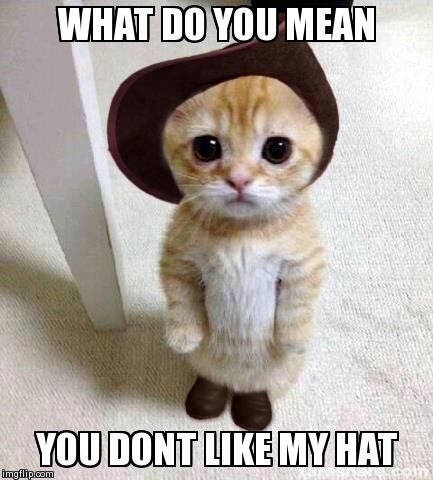 Cute Cat | WHAT DO YOU MEAN YOU DONT LIKE MY HAT | image tagged in cute cat | made w/ Imgflip meme maker