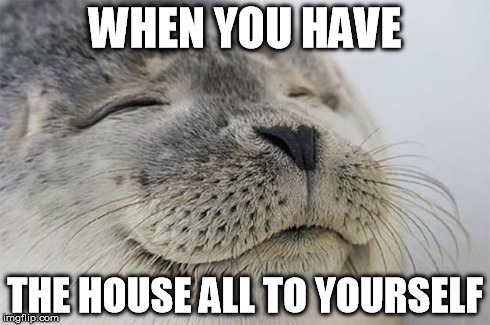 Satisfied Seal Meme | WHEN YOU HAVE THE HOUSE ALL TO YOURSELF | image tagged in memes,satisfied seal | made w/ Imgflip meme maker