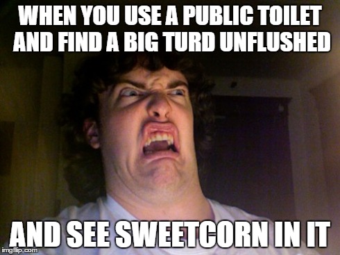 Oh No | WHEN YOU USE A PUBLIC TOILET AND FIND A BIG TURD UNFLUSHED AND SEE SWEETCORN IN IT | image tagged in memes,oh no | made w/ Imgflip meme maker