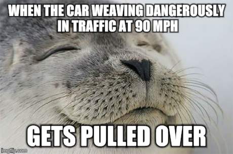 Satisfied Seal | WHEN THE CAR WEAVING DANGEROUSLY IN TRAFFIC AT 90 MPH GETS PULLED OVER | image tagged in memes,satisfied seal,AdviceAnimals | made w/ Imgflip meme maker