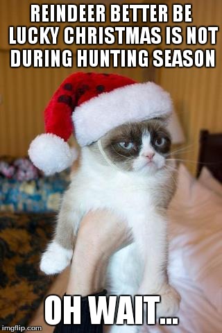 Grumpy Cat Christmas | REINDEER BETTER BE LUCKY CHRISTMAS IS NOT DURING HUNTING SEASON OH WAIT... | image tagged in memes,grumpy cat christmas,grumpy cat | made w/ Imgflip meme maker