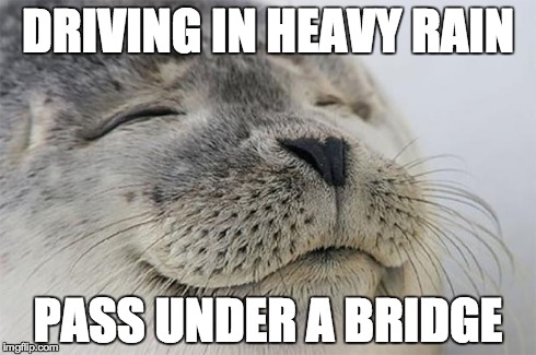 Satisfied Seal Meme | DRIVING IN HEAVY RAIN PASS UNDER A BRIDGE | image tagged in memes,satisfied seal | made w/ Imgflip meme maker