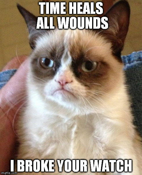 Grumpy Cat | TIME HEALS ALL WOUNDS I BROKE YOUR WATCH | image tagged in memes,grumpy cat | made w/ Imgflip meme maker