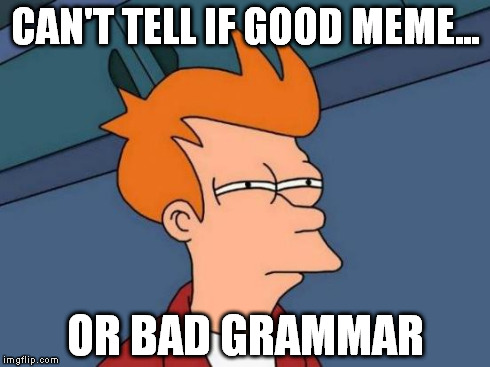 CAN'T TELL IF GOOD MEME... OR BAD GRAMMAR | image tagged in memes,futurama fry | made w/ Imgflip meme maker