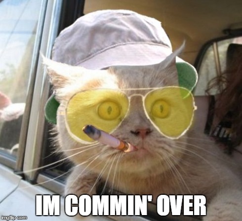 Fear And Loathing Cat Meme | IM COMMIN' OVER | image tagged in memes,fear and loathing cat | made w/ Imgflip meme maker