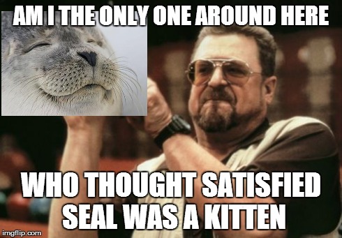You can't blame me, given the number of kitten memes in existence... | AM I THE ONLY ONE AROUND HERE WHO THOUGHT SATISFIED SEAL WAS A KITTEN | image tagged in memes,am i the only one around here | made w/ Imgflip meme maker