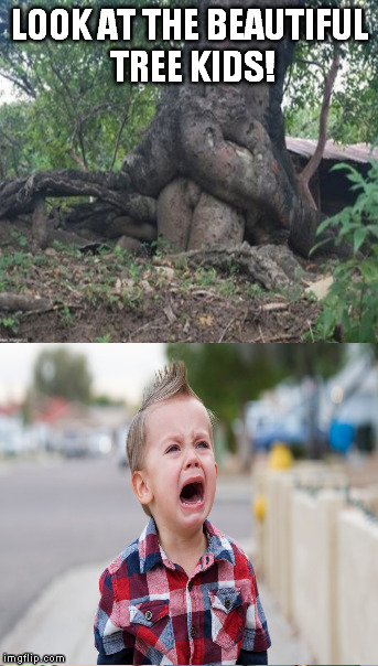 once you see it | LOOK AT THE BEAUTIFUL TREE KIDS! | image tagged in tree,memes,funny,nature,crying,funny memes | made w/ Imgflip meme maker