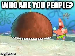 WHO ARE YOU PEOPLE? | WHO ARE YOU PEOPLE? | image tagged in who are you people | made w/ Imgflip meme maker