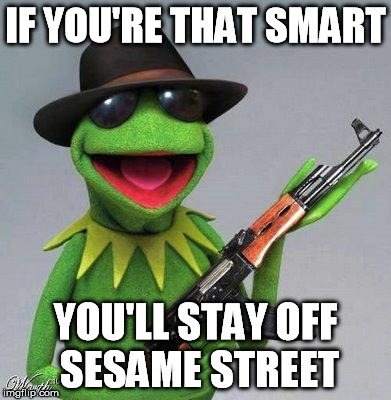kermit ak | IF YOU'RE THAT SMART YOU'LL STAY OFF SESAME STREET | image tagged in kermit ak | made w/ Imgflip meme maker
