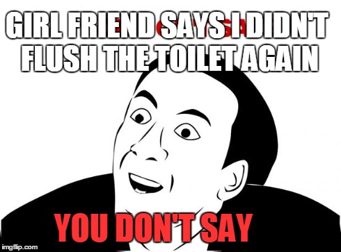 You Don't Say Meme | YOU DON'T SAY GIRL FRIEND SAYS I DIDN'T FLUSH THE TOILET AGAIN | image tagged in memes,you don't say | made w/ Imgflip meme maker