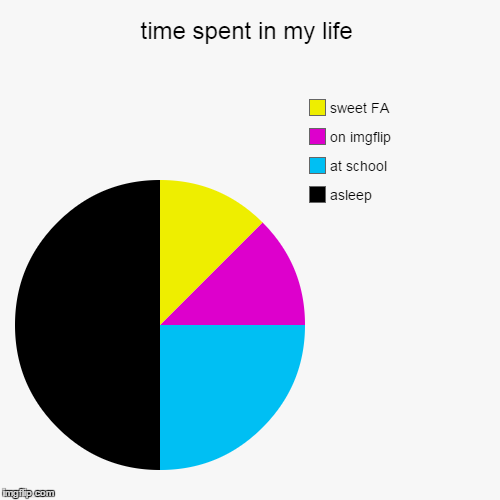 image tagged in funny,pie charts | made w/ Imgflip chart maker